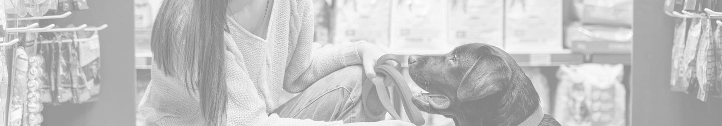 USP Baner Background